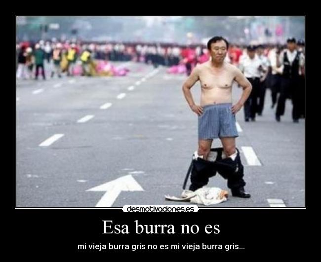 Esa burra no es - mi vieja burra gris no es mi vieja burra gris...