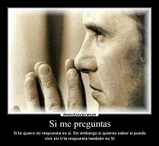 Si me preguntas - 