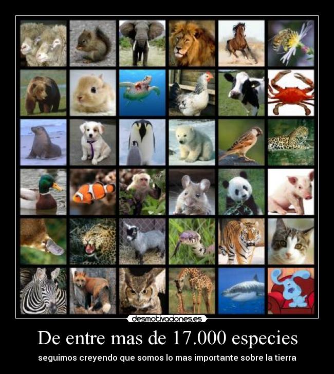 De entre mas de 17.000 especies -