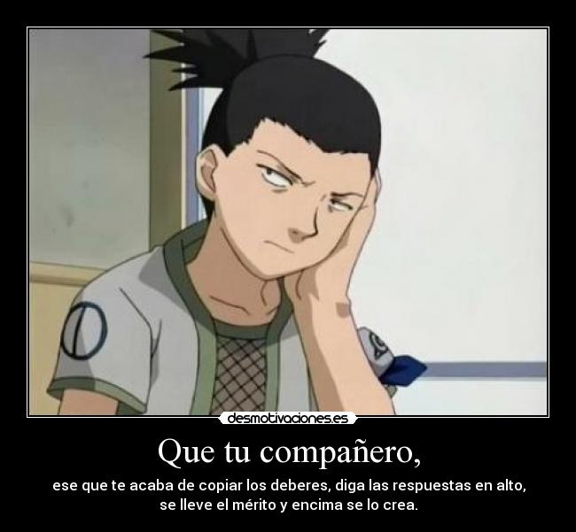 Que tu compañero, - ese que te acaba de copiar los deberes, diga las respuestas en alto,
se lleve el mérito y encima se lo crea.