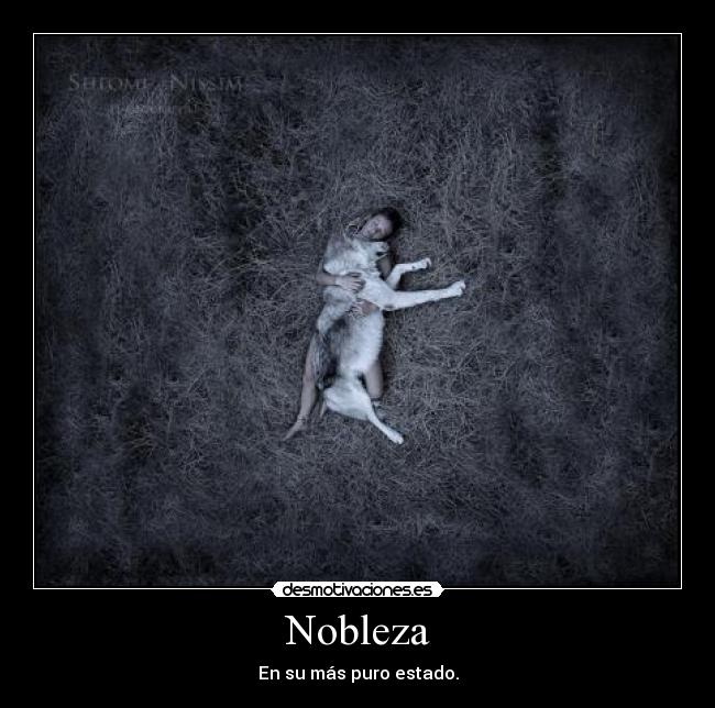 Nobleza - En su más puro estado.