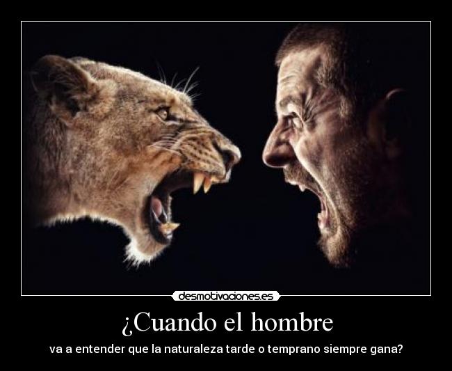 carteles cuando veo anuncio discovery chanel que canta bruno dan ganas llorar myrniz desmotivaciones