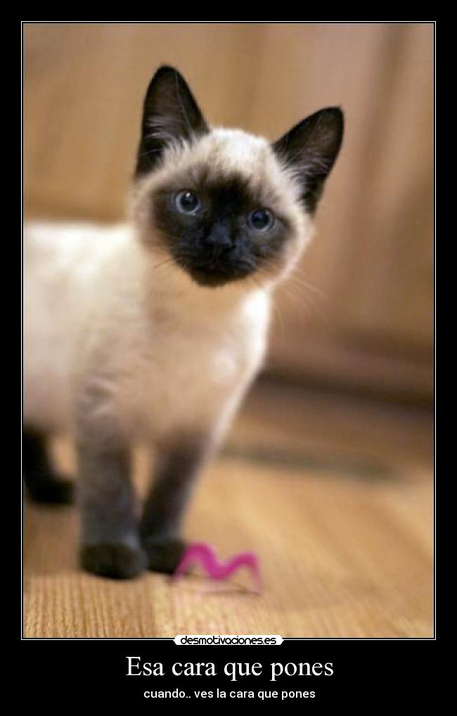 Esa cara que pones - cuando.. ves la cara que pones