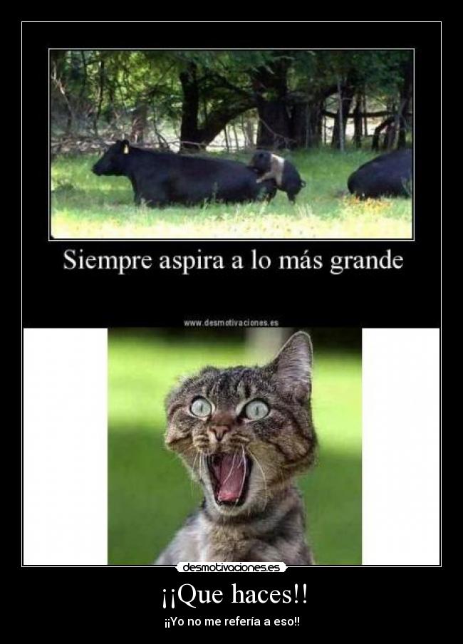 ¡¡Que haces!! - ¡¡Yo no me refería a eso!!