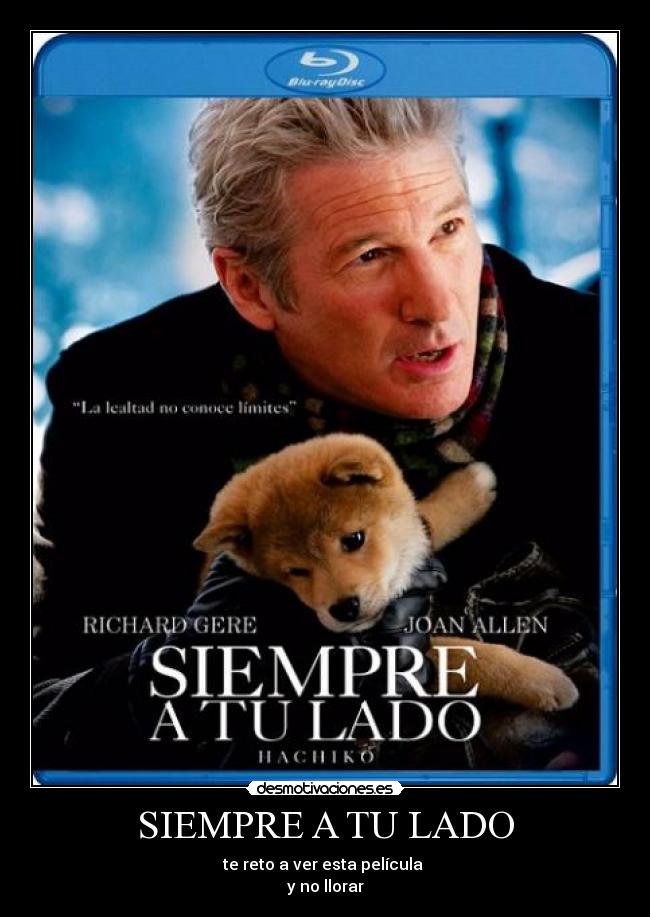 SIEMPRE A TU LADO - te reto a ver esta película
y no llorar