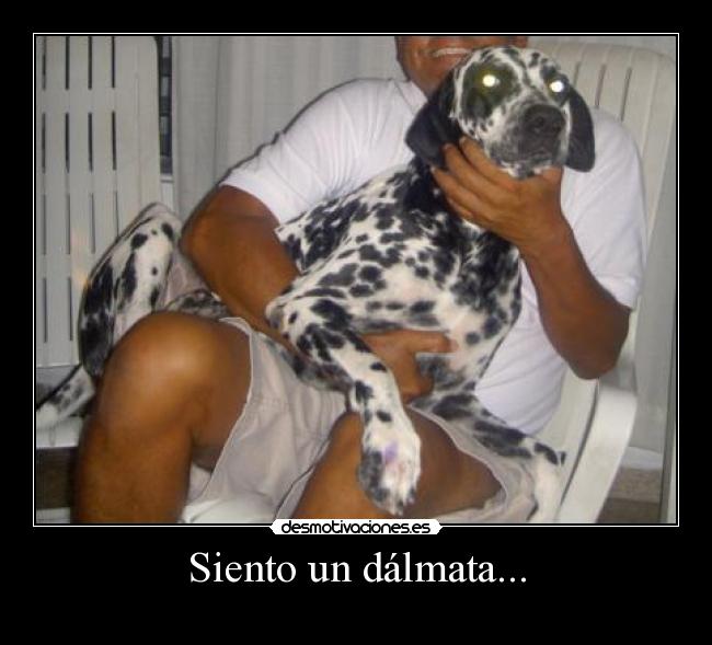 carteles chistaco malo efejota chorradas campestres desmotivaciones