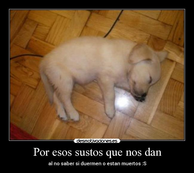 Por esos sustos que nos dan - 