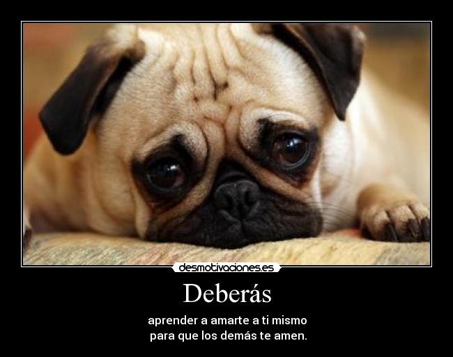 Deberás - aprender a amarte a ti mismo
para que los demás te amen.