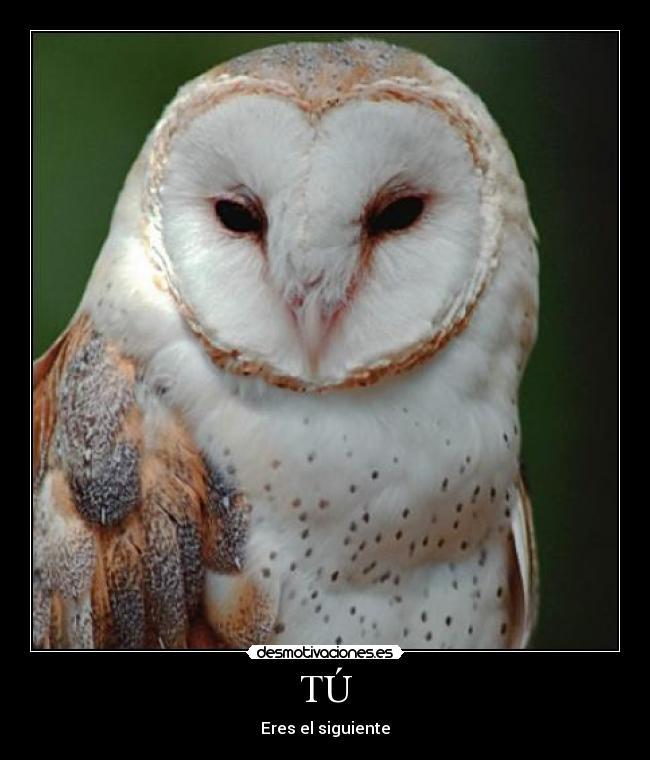TÚ - Eres el siguiente