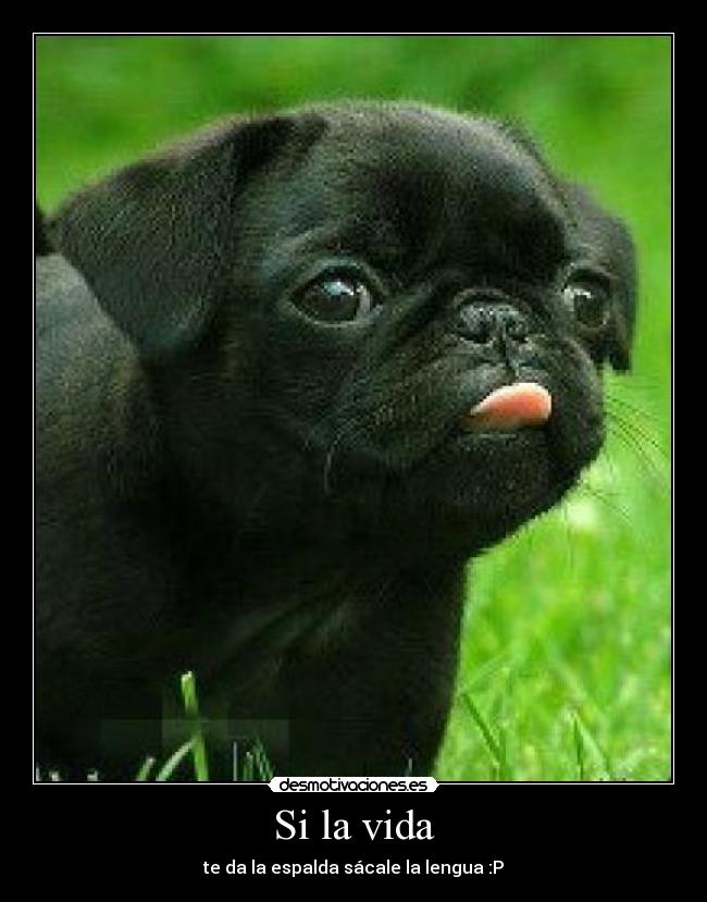 Si la vida - te da la espalda sácale la lengua :P