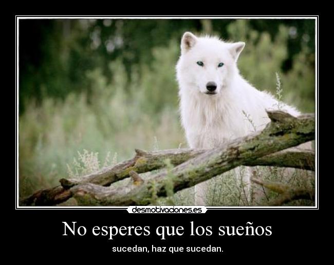 No esperes que los sueños - 