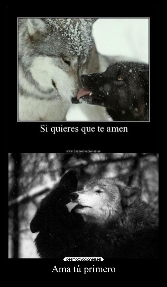 Ama tú primero -