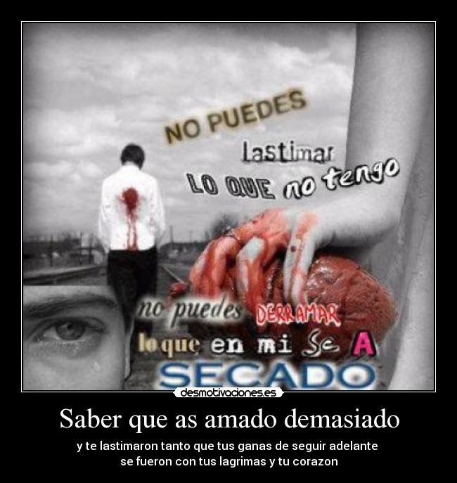 Saber que as amado demasiado -