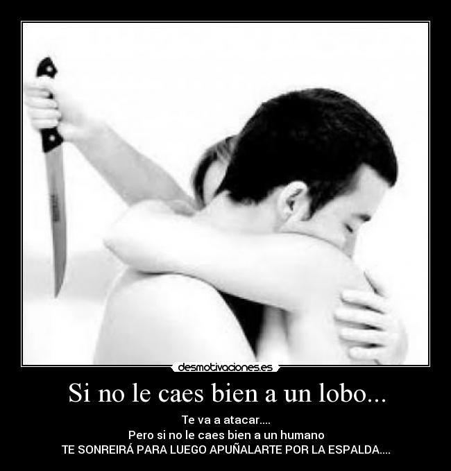 Si no le caes bien a un lobo... - Te va a atacar....
Pero si no le caes bien a un humano
TE SONREIRÁ PARA LUEGO APUÑALARTE POR LA ESPALDA....