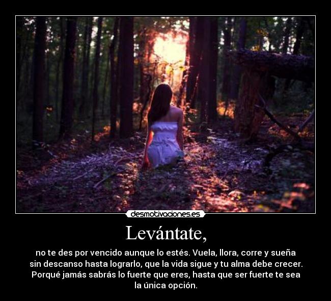 Levántate, - no te des por vencido aunque lo estés. Vuela, llora, corre y sueña
sin descanso hasta lograrlo, que la vida sigue y tu alma debe crecer.
Porqué jamás sabrás lo fuerte que eres, hasta que ser fuerte te sea
la única opción.