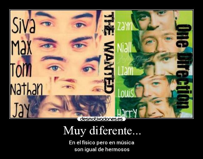 carteles the wanted one direction desmotivaciones