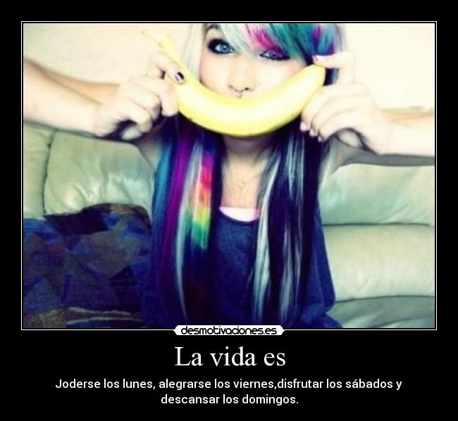 La vida es - Joderse los lunes, alegrarse los viernes,disfrutar los sábados y
descansar los domingos.