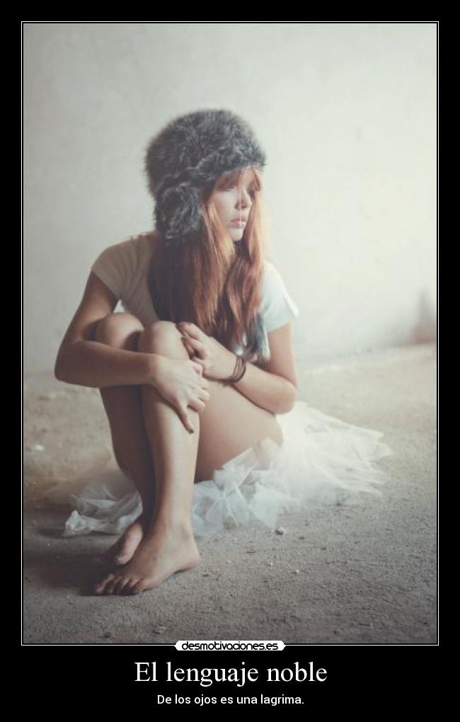 El lenguaje noble -
