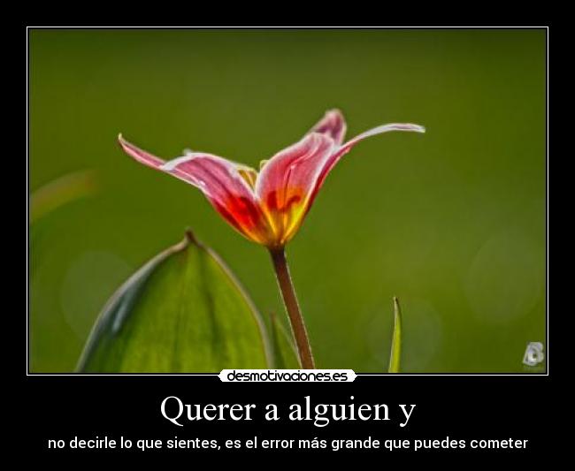 Querer a alguien y - no decirle lo que sientes, es el error más grande que puedes cometer