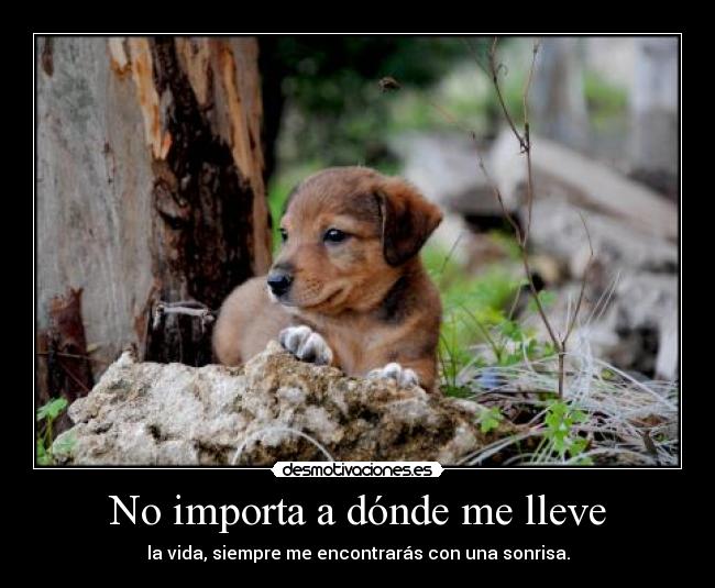 No importa a dónde me lleve -