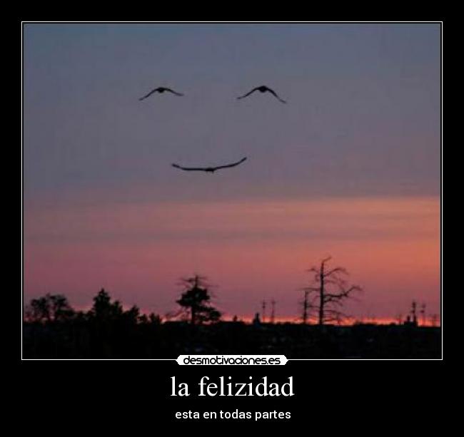 la felizidad - esta en todas partes