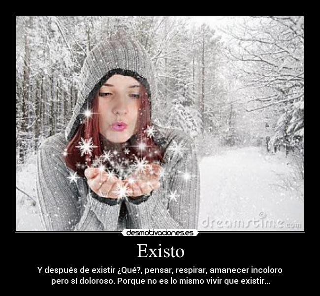 Existo - Y después de existir ¿Qué?, pensar, respirar, amanecer incoloro
pero sí doloroso. Porque no es lo mismo vivir que existir...