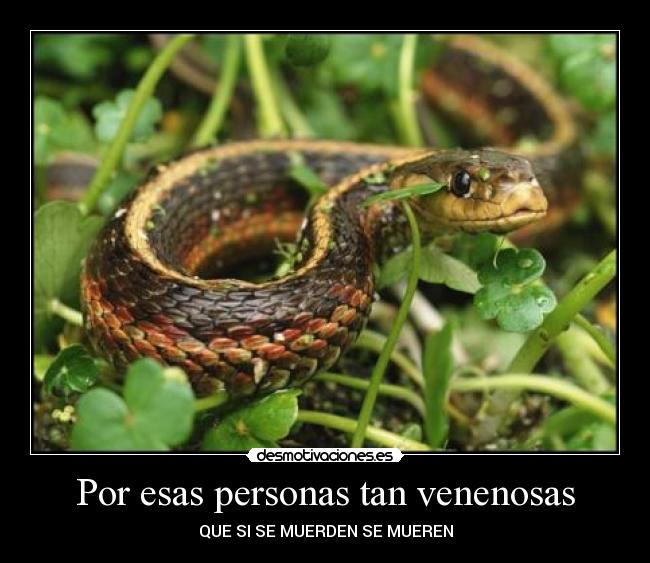 Por esas personas tan venenosas - 