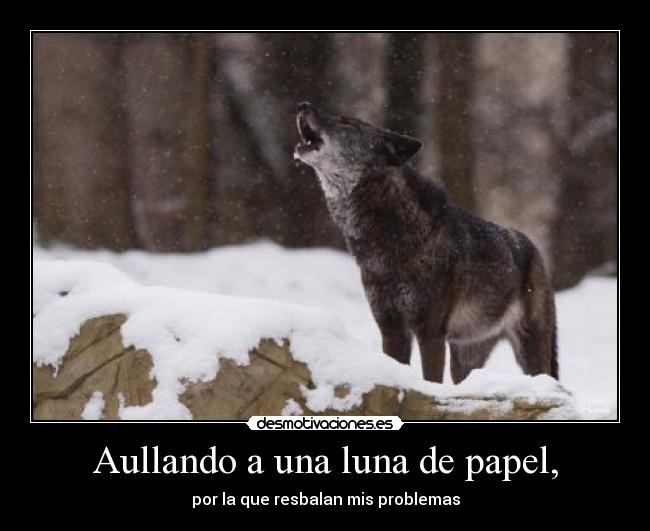 carteles lobo negro aullando quiennosabes aullando una luna papel desmotivaciones