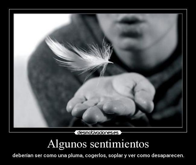 Algunos sentimientos -
