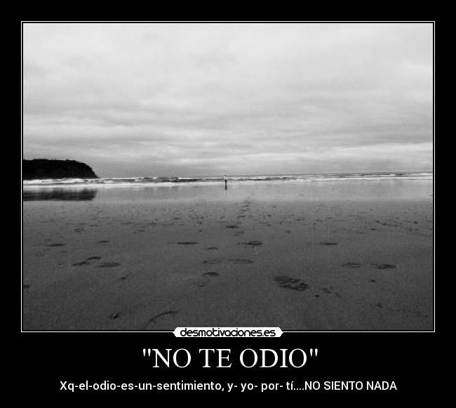 NO TE ODIO - Xq-el-odio-es-un-sentimiento, y- yo- por- tí....NO SIENTO NADA