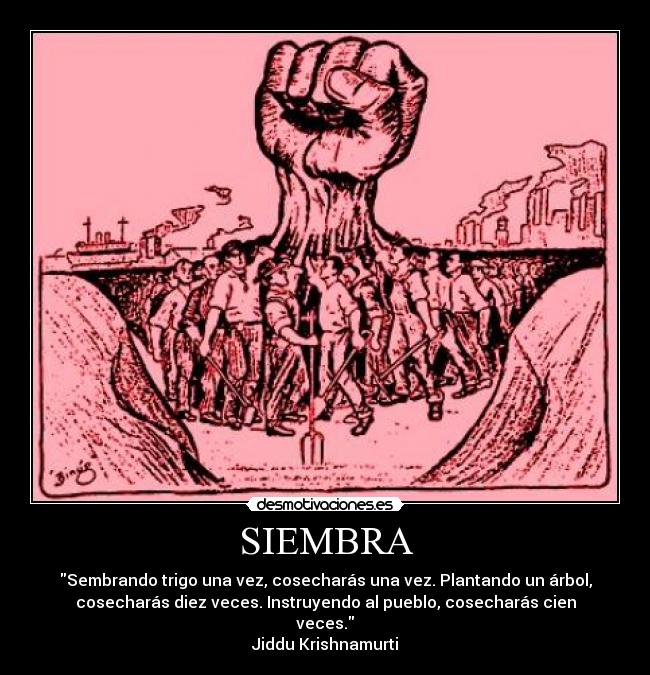 SIEMBRA - 