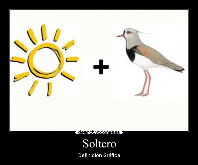 Soltero - 