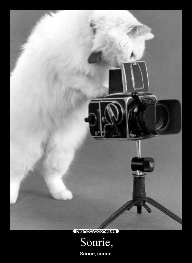 Sonríe, - Sonríe, sonríe.