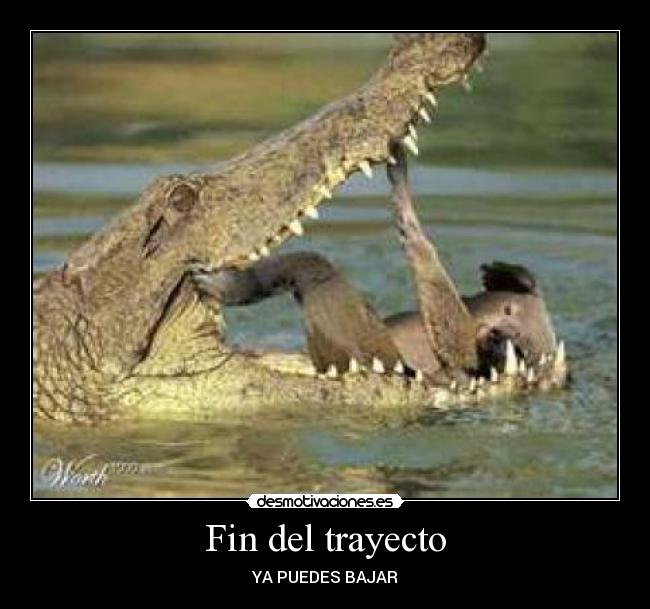 Fin del trayecto -