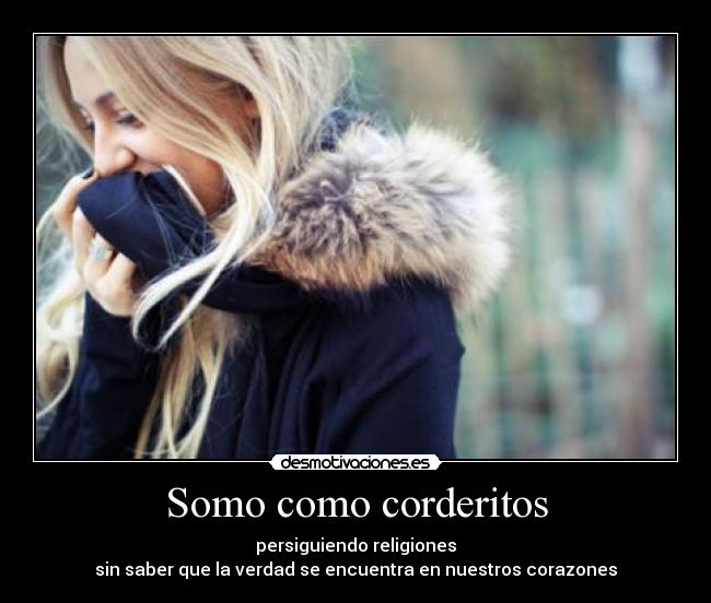 Somo como corderitos - 