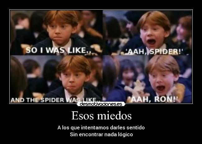 Esos miedos - A los que intentamos darles sentido
Sin encontrar nada lógico