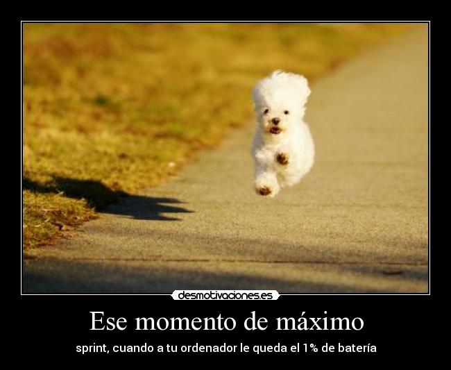 carteles corriendo por cargador kixking desmotivaciones