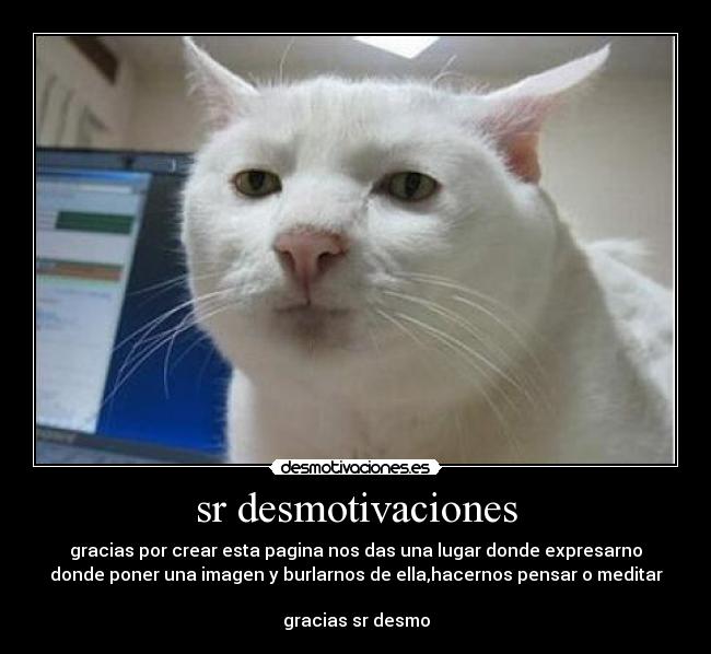 sr desmotivaciones - gracias por crear esta pagina nos das una lugar donde expresarno
donde poner una imagen y burlarnos de ella,hacernos pensar o meditar
gracias sr desmo