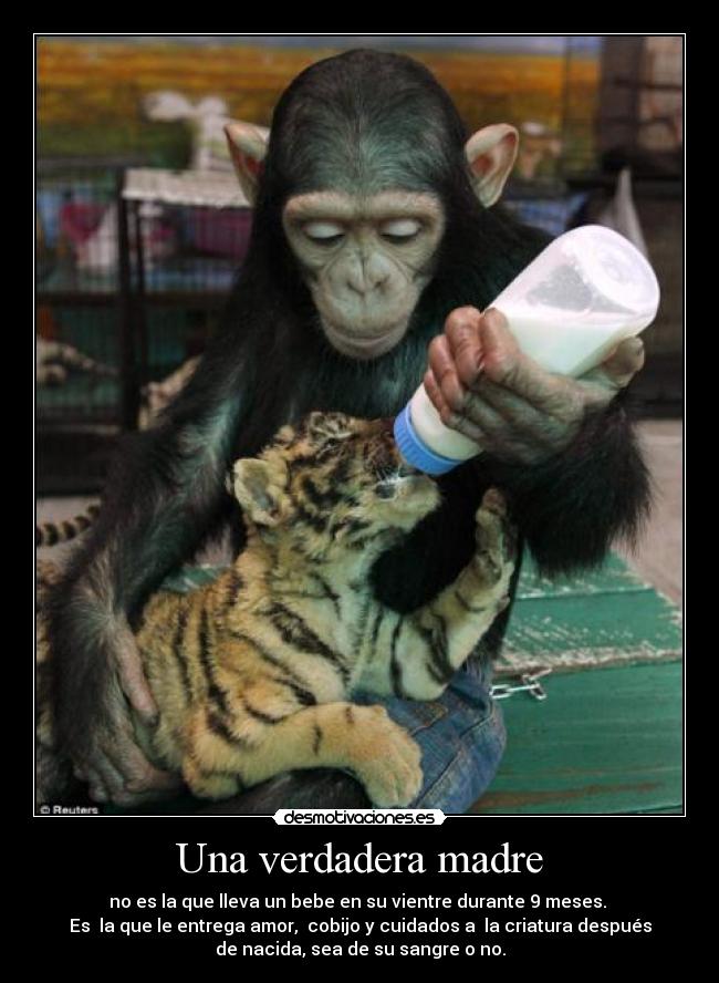 Una verdadera madre -