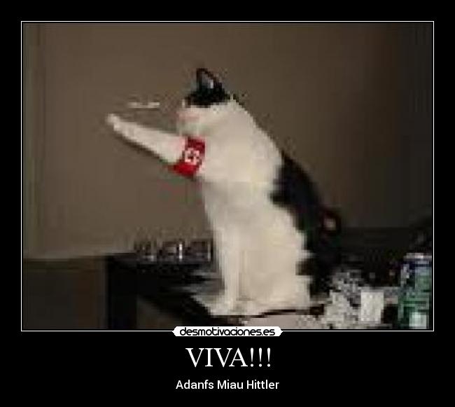 VIVA!!! - Adanfs Miau Hittler