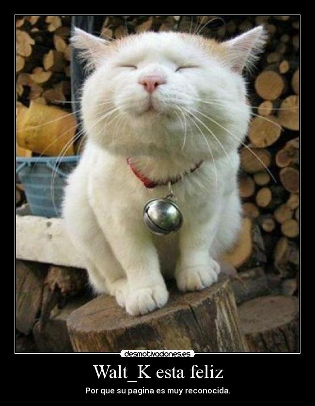 Walt_K esta feliz - Por que su pagina es muy reconocida.