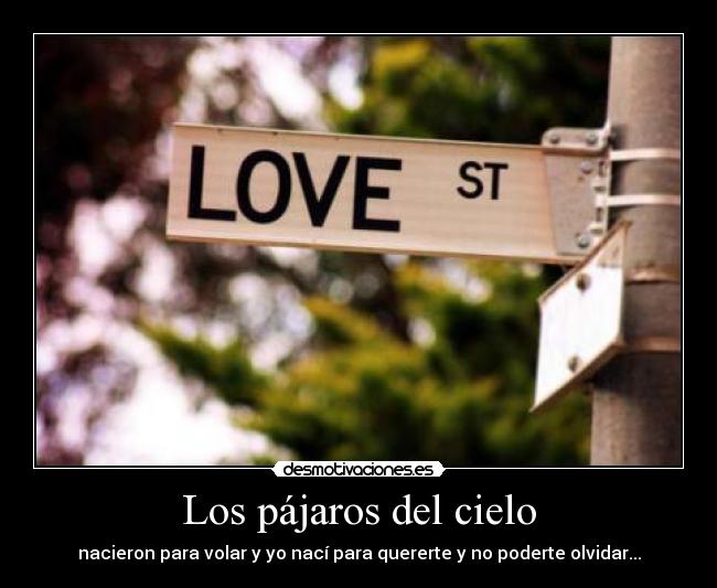 Los pájaros del cielo - nacieron para volar y yo nací para quererte y no poderte olvidar...