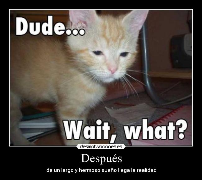 Después - de un largo y hermoso sueño llega la realidad