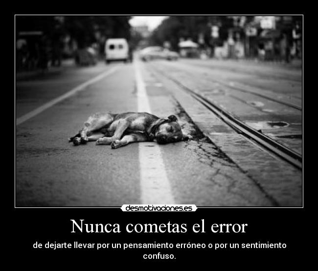 carteles true desmotivaciones