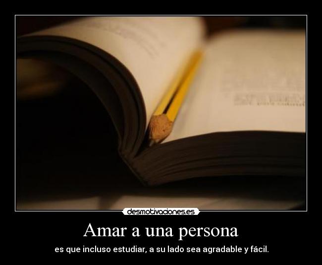 carteles amo gilitonto desmotivaciones