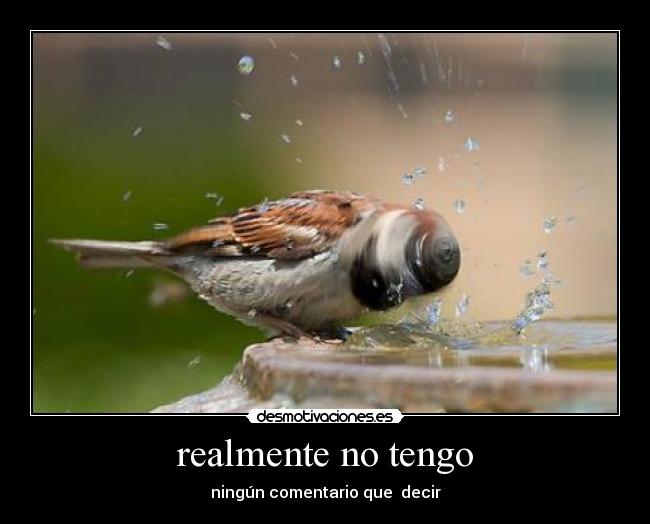 realmente no tengo - ningún comentario que decir