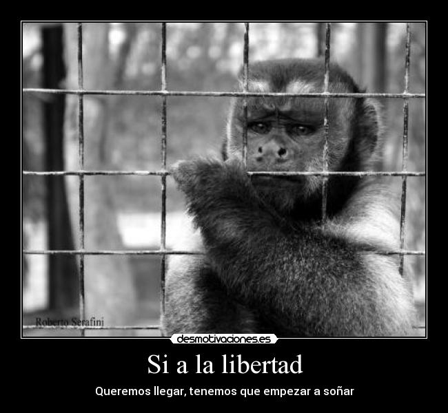 Si a la libertad - Queremos llegar, tenemos que empezar a soñar