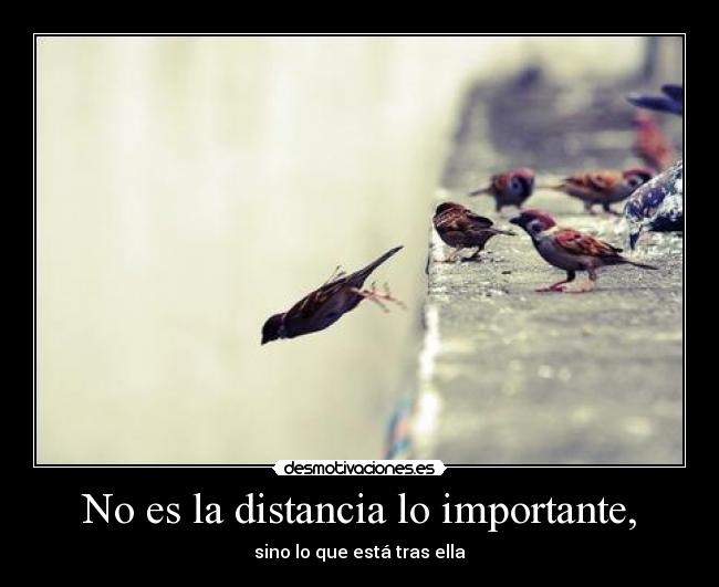 carteles distancia the same check point that you must begin from this zone nigga baby fukk distance desmotivaciones