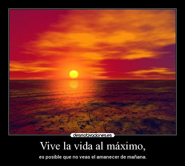 carteles vida cucocucocuco desmotivaciones