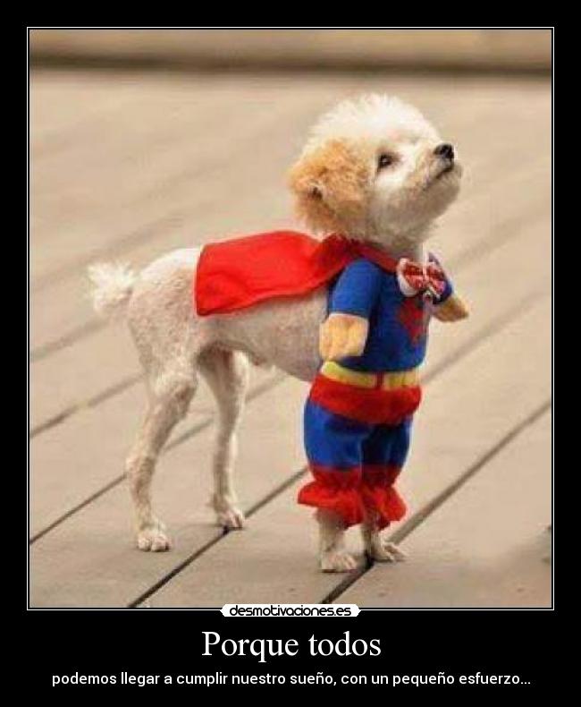 Porque todos - podemos llegar a cumplir nuestro sueño, con un pequeño esfuerzo...
